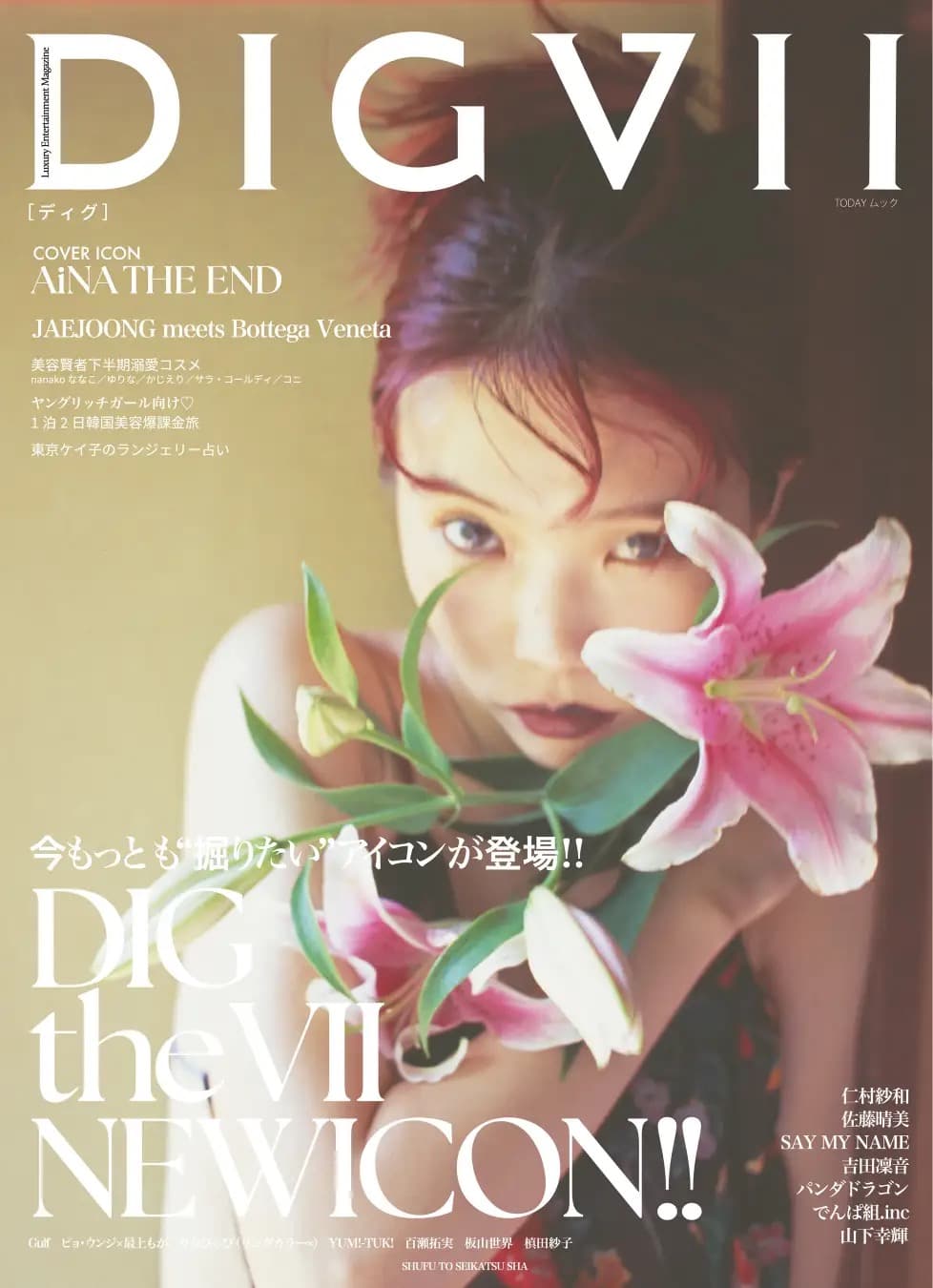 DIGVII 創刊号
